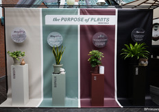 This year, the theme of Novae Fabula was "The purpose of plants". There were four components: humidity, biophilia, air and sound.