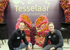 Niels Tesselaar and Willem Dekker of H.M. Tesselaar Alstroemeria.