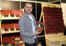 Bram Mathot of Pernettya nursery M. Mathot cv.