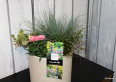 They delivered peat-free perennials (mix) for the first time.