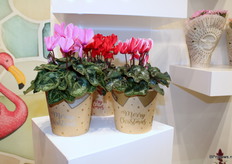 They have these new Be Present cups for the Cyclame since this year.