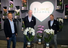 Ron Fransen, Tom Lievaart and Rick van Vliet of LevoPlant with the 'I like plants' brand