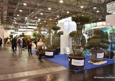 The Spanish pavilion in the background.