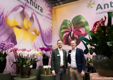 Johan van Vliet and Erwin Koopstra of Anthura