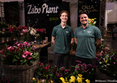 Jawin van de Steen and Dirk Scholten of Zabo Plant