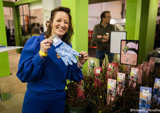 with the Magical Hydrangea gardening gloves