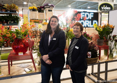 The ladies of Plantion