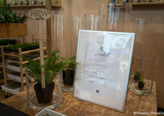 And Vitro Plus won another award with novelty in green houseplant category