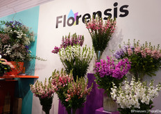 And they shared the booth with Florensis