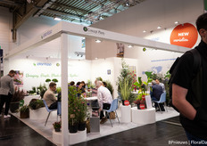 the stand of Plantipp