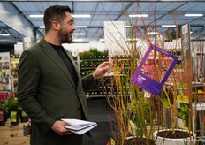 Michael Perry aka 'Mr. Plant Geek' shows one of his favorites, the Acer with its colored branches.