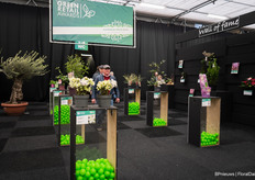 At the entrance the visitors could vote on their favorite varieties.