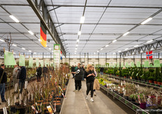 Visitors busy buying all day