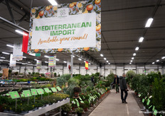 From 7am it was already busy with buyers