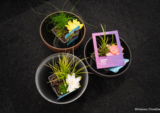 Among other things, they supply ready-made patio ponds