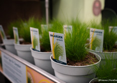 Available from week 7