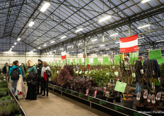 With tablets and phones in hand along all plants to see what should be purchased