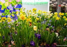 Where spring has already kicked in.