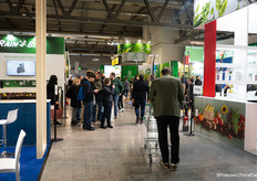 Well, why not bring a shopping cart?