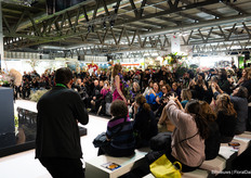 Which attracted a lot of attention and interest