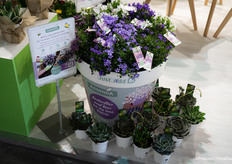 And Addenda was also featured at the fair