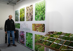 Succulents Unlimited's succulents are sold in Italy via Lindhout Ornata