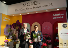 Guy Schertzer and Laurent Mossan of Morel with Cyclamen and Helleborus from the range
