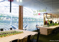 Each stand looks different