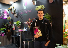 Stef Geertsema of Gebr. Valstar and the calathea collection