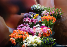 Colourful and diverse range of flowers