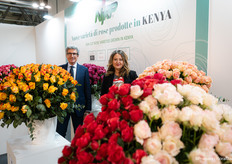 And also the Kenyan roses 