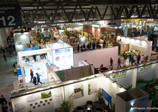 View over one of the halls