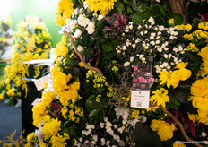 And the colourful plant mix