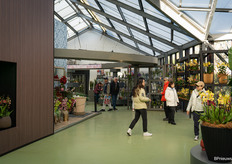 And there is also an Orchid Shop, where one can buy orchids from the likes of Ansu Vanda, De Hoog Orchids and FlorAllure