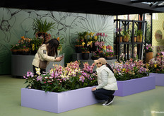 Of course, there will be lots of pictures