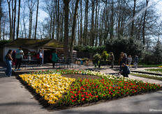 Their shop is in the middle of the park