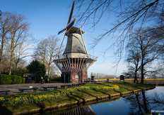 It hardly gets more Dutch than this