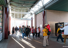 The first groups of tourists trickle in around 10 o'clock