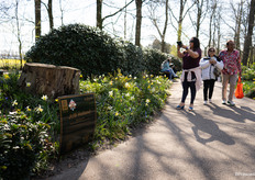 JUB Holland's border, where Perennials from Rijnbeek are mixed with their bulbs