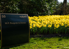 Border from W.P. Ruigrok & Sons