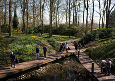 Ideal weather for a walk