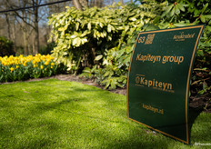 Kapiteyn Group also provided a border