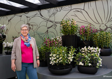 Jolanda Nieuwenhuijze of De Hoog Orchids proudly displays their Nobile on display in the Orchids Plaza at Keukenhof.