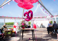 And it's a double celebration—Wave® Petunia turns 30 this year! 