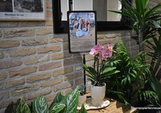 On 19 October, Marly and Julia Olsthoorn will be at the start of the Amsterdam Half Marathon together They are running to raise as much money as possible for KWF Cancer Relief. To stonewall them and raise as much money for research and treatment, OK PLant is selling a special KWF Gift Set during the week of 25 to week 34. 5 euros per set sold will be donated by OK Plant to KWF.