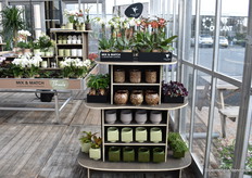 Besides the large tables, they also offer these smaller tables. There are now about 600 of this model in various garden centres in Europe. They are changed four times a year, as consumers visit a garden centre about four times a year.