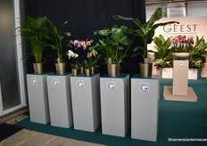 Products in the range.