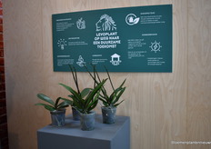 Investment to become more a sustainable business. Now, for example, they grow with 100% LED and the PotWen. Potworm is a major problem in Phalaenopsis cultivation and through the entire chain. A consortium of four companies - Levoplant, Ter Laak, Opti-flor and Solvent - has therefore developed Potweb: the solution to control pot worm in an environmentally friendly way in the cultivation of Phalaenopsis orchids. This innovation won an award in 2023.