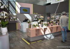 And the 25-year concept has continued in the Orchid Inspirations Days presentation, where developments in the range are presented every five years.