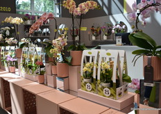 Today's presentation.